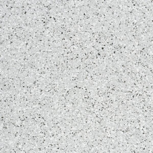 Ermellino 505195
